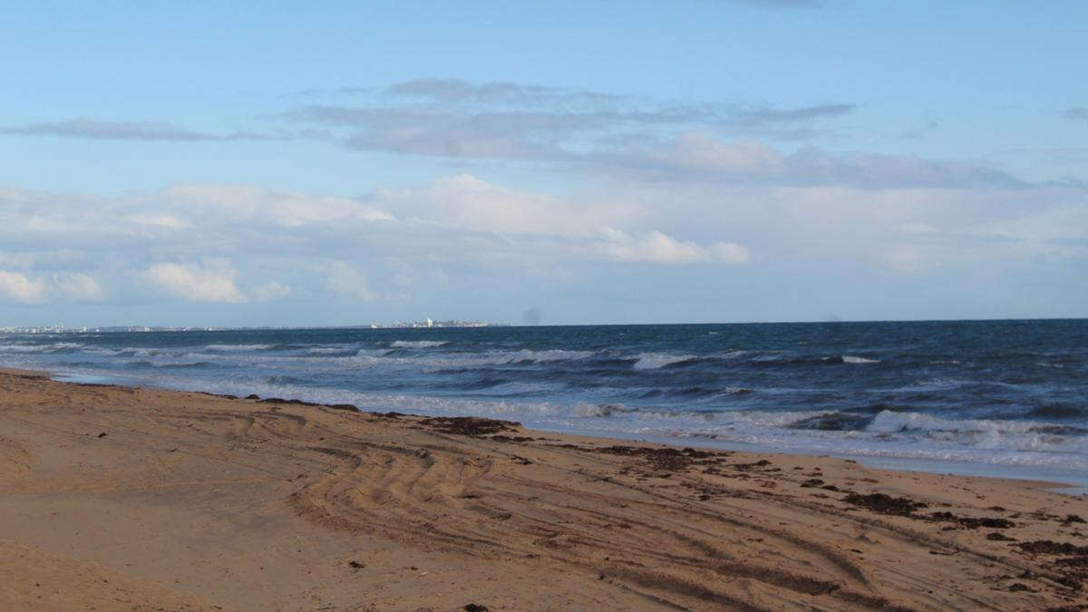 Rotting whale carcass prompts shark warning at WA beach