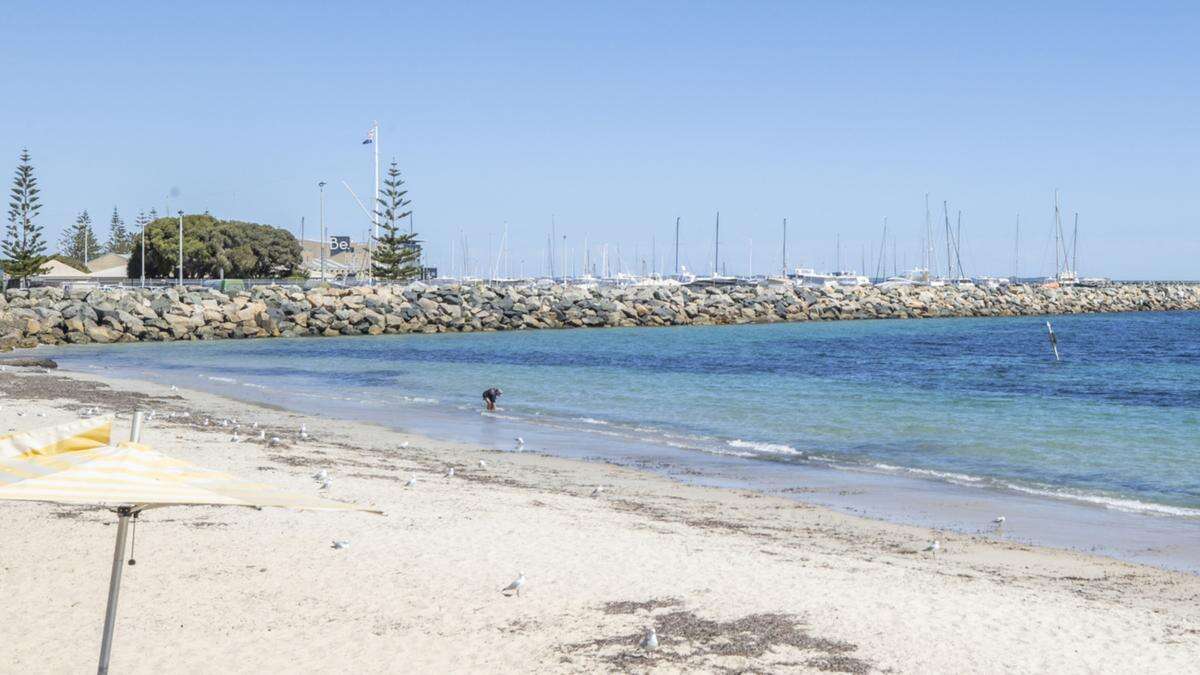 Fremantle council approve shark barrier for Bathers Beach