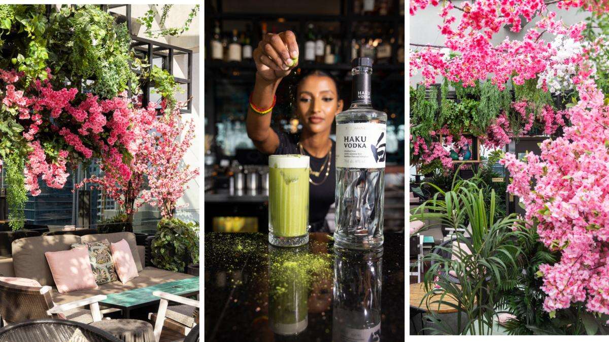 Rooftop bar transforming into Japanese cherry blossom haven