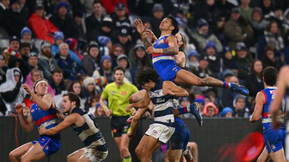 Bulldogs beat Cats in the wet to continue finals push