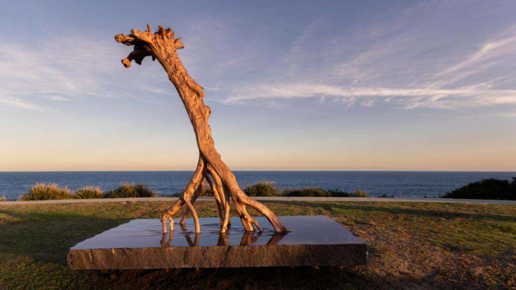 Tree by the sea takes out $100k sculpture prize