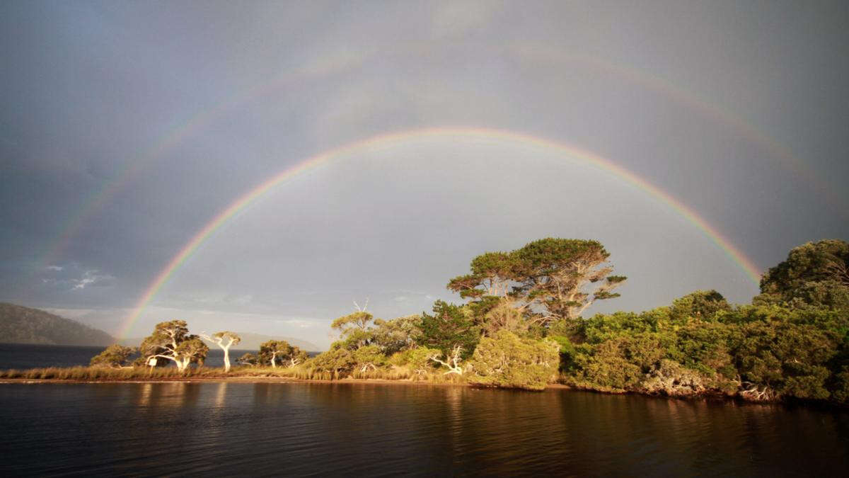 Storms, damaging winds, high fire danger forecast for WA