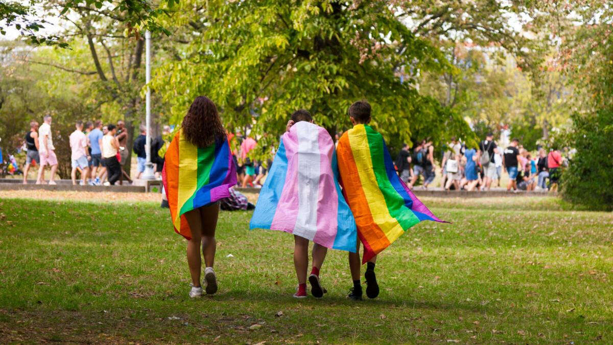 Inner Perth suburb set to host stunning picnic at Hyde Park