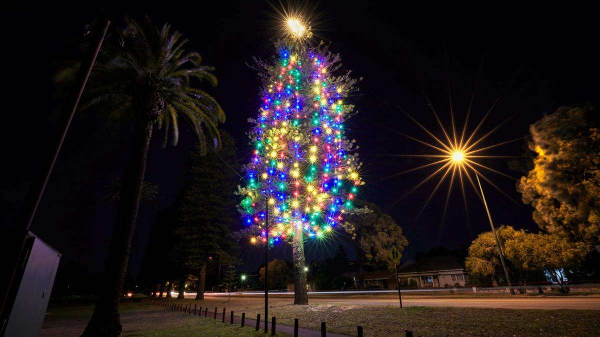 Why a Xmas tree in the western suburbs could be scrapped