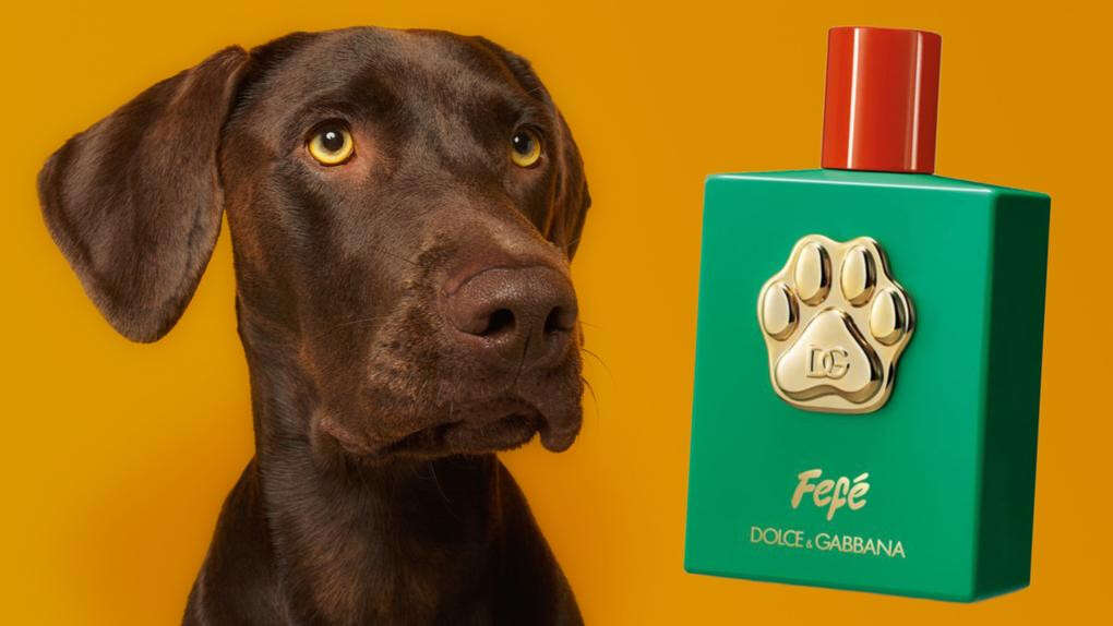 Luxury perfume brand releases top-shelf scent for DOGS