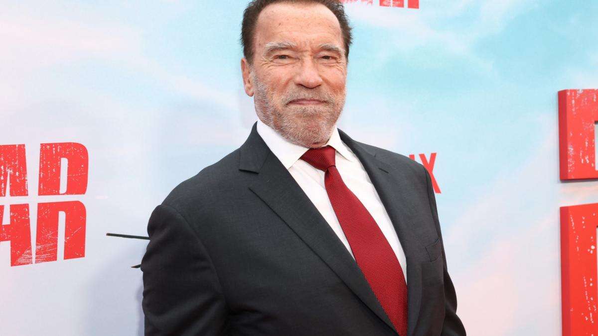 Arnold Schwarzenegger donates $1m to Los Angeles wildfires relief efforts