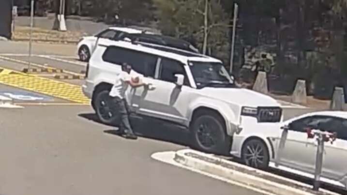 Watch: Toyota Prado owner's embarrassing crash chasing cricketer for an autograph