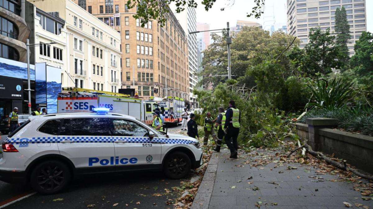 Strong winds wreak havoc as homes lose power