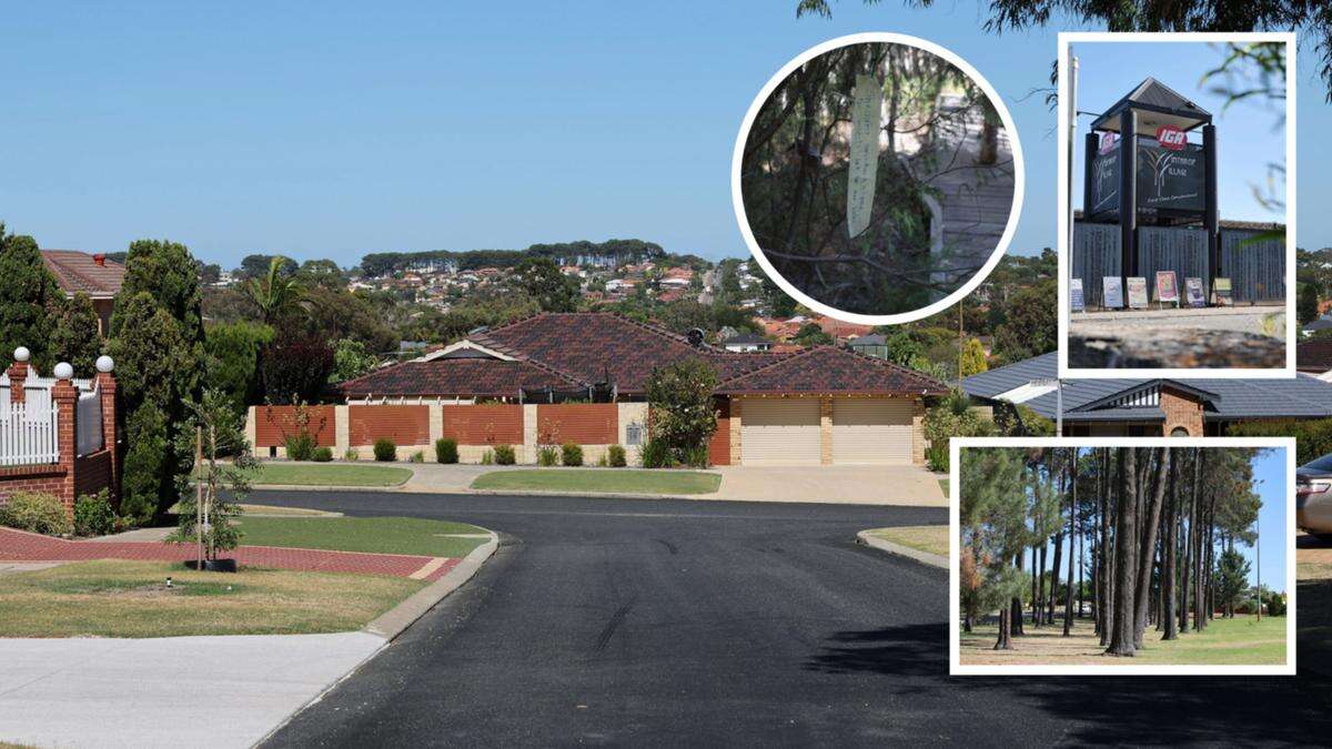 Perth’s pine tree oasis now a popular family suburb