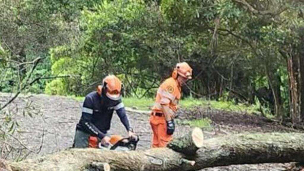 Desperate search after storm havoc