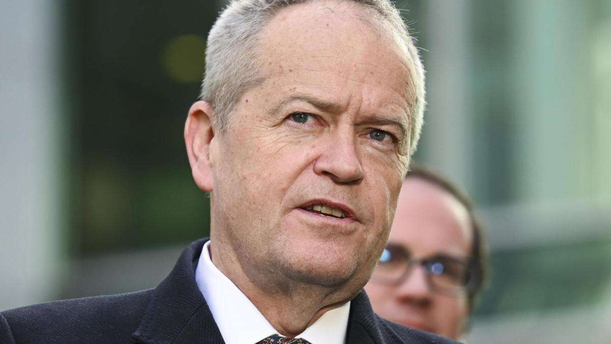 Shorten vows to scrap sex work on NDIS