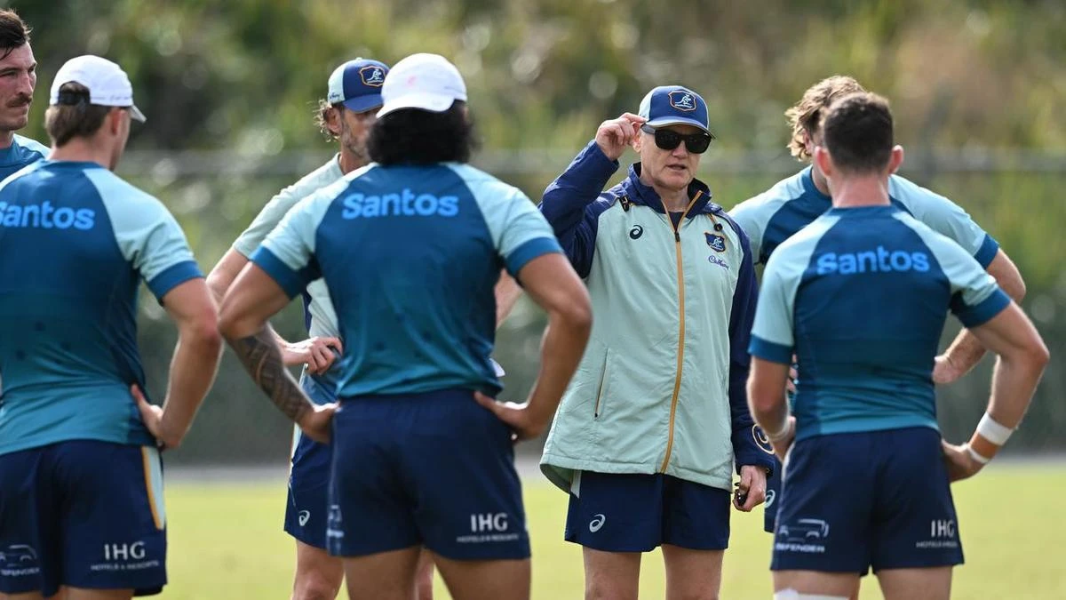 Schmidt's got smarts: All Blacks back Wallabies coach