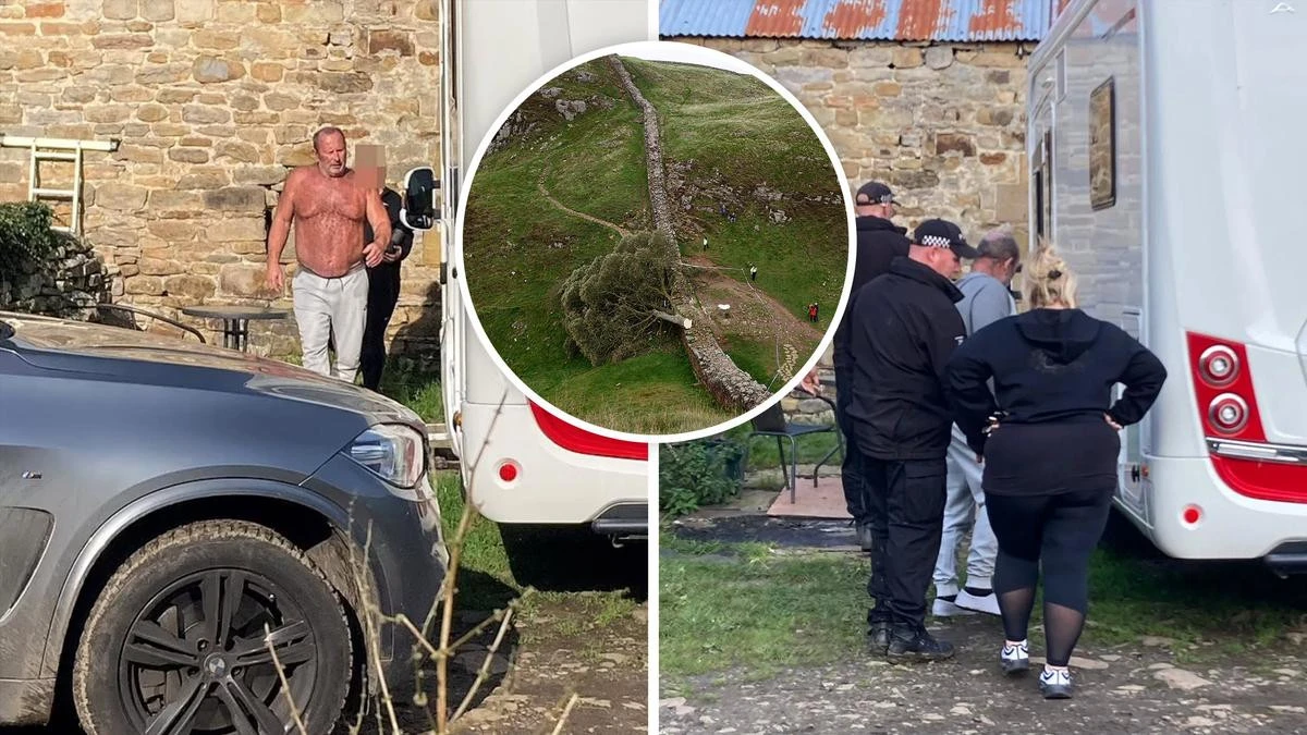 Bombshell twist in Sycamore tree-felling mystery