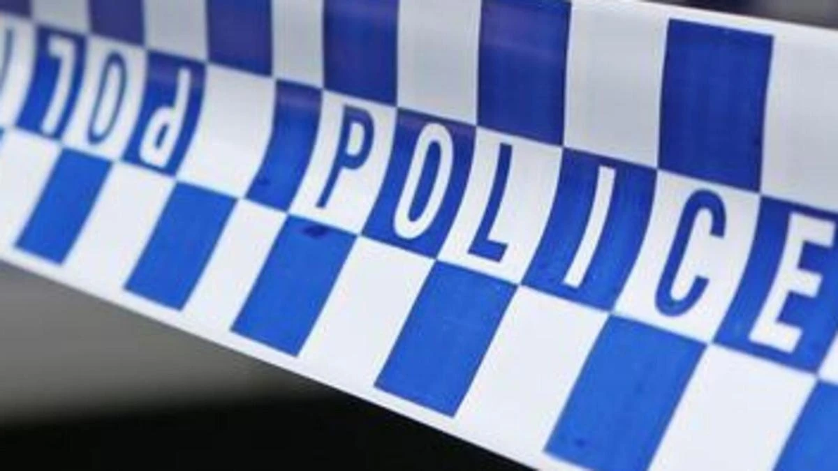 Appeal after man killed in hit and run