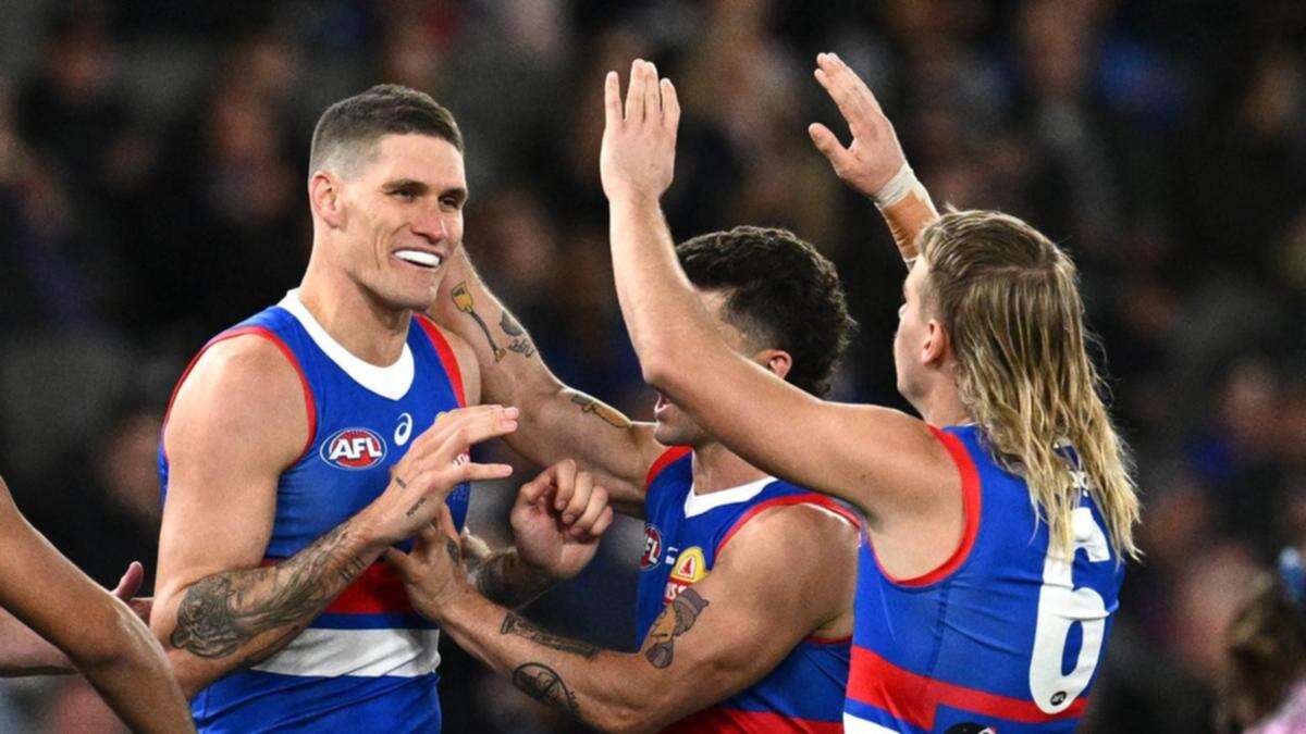 Why Lobb is bullish Dogs will cover midfield holes