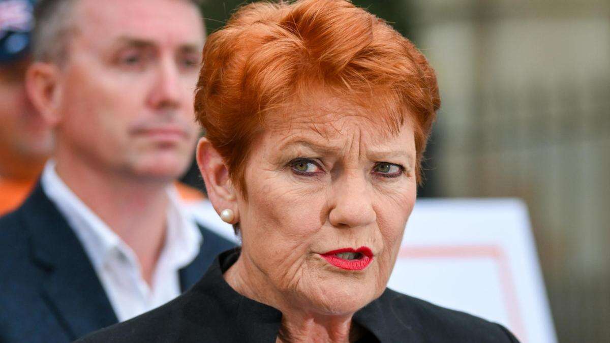 Pauline Hanson’s next move after racist tweet