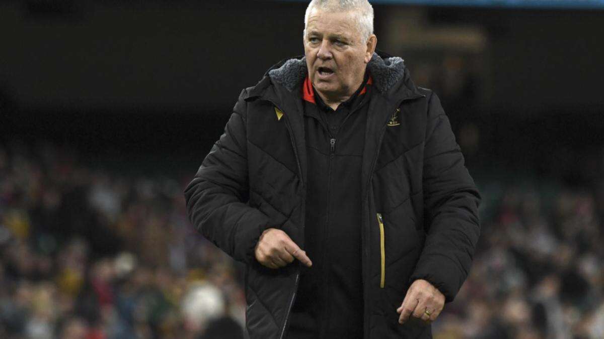 I would love great Gatland to be successful: Erasmus