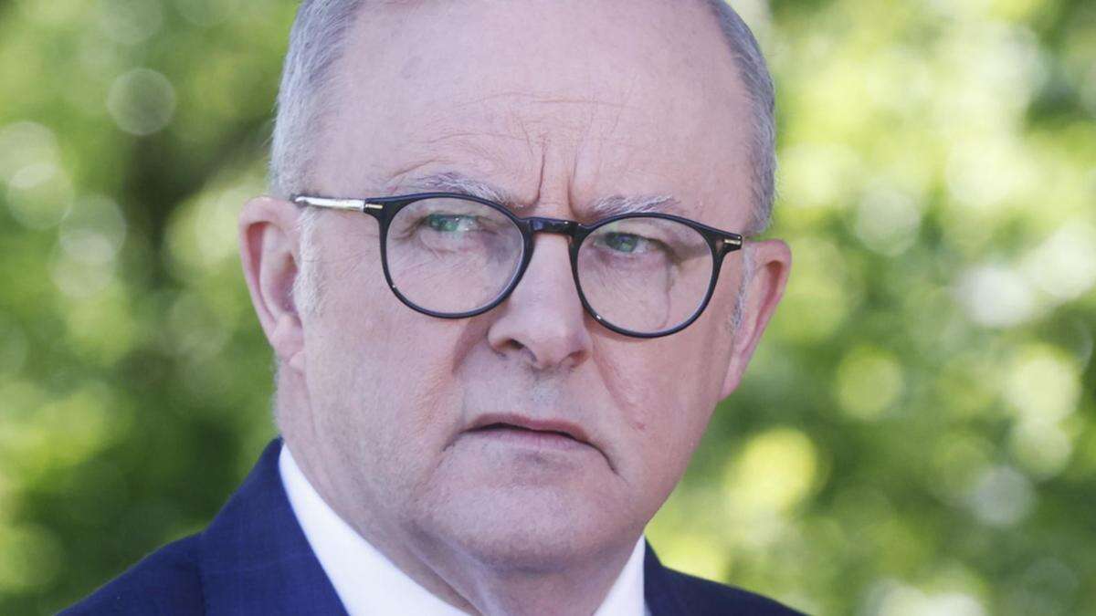 Albo’s ‘ego’ behind stalemate: Greens