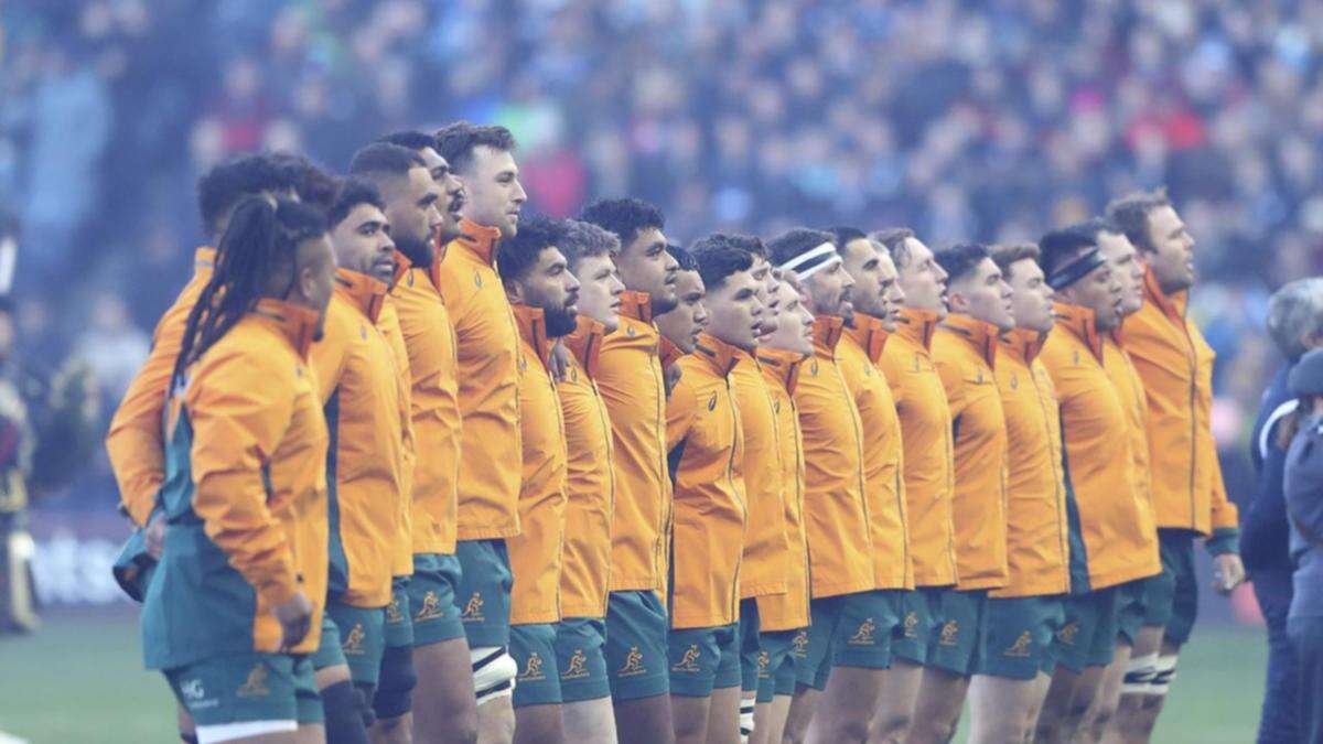 Harry Potter and the end of being a Wallabies novelty