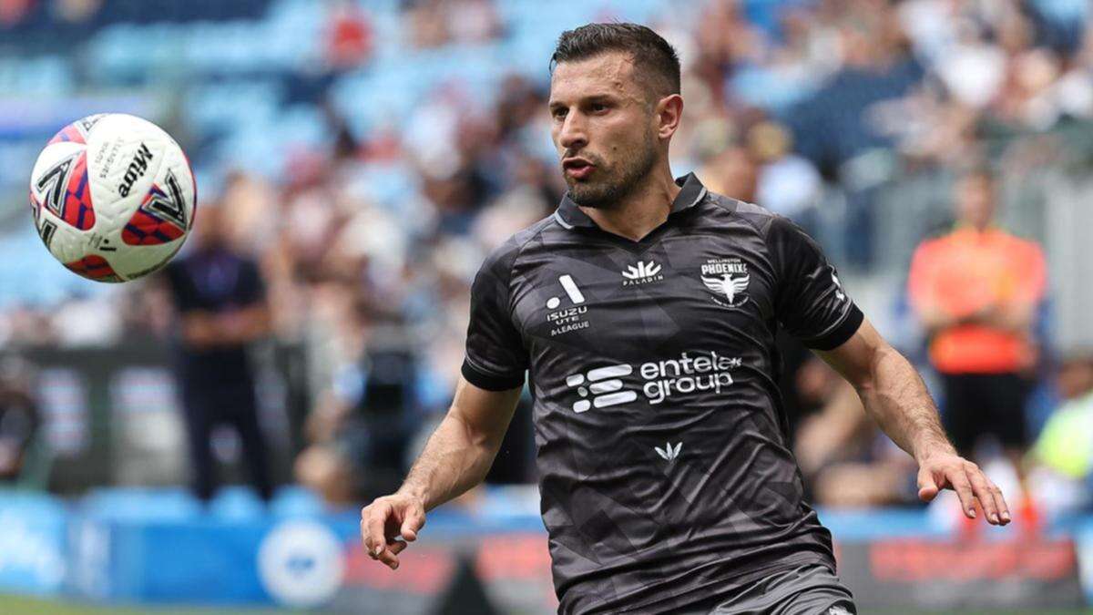 Barbarouses strike seals Wellington's A-League Men win