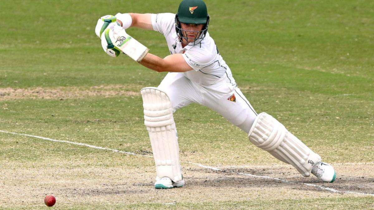 Ward leads NSW talent in piling on runs against Blues