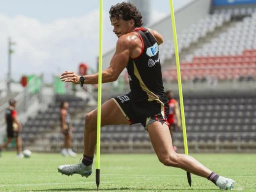 Dolphins centre's rise to stardom poles apart from rest