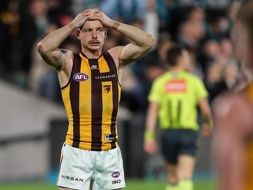 Hawks, Swans sweat on injuries after AFL season opener
