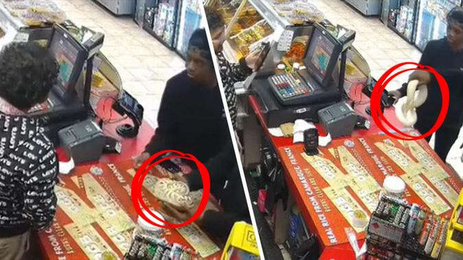 Ssswindled: Slippery thieves use pythons to rattle cashier