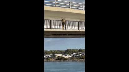 WATCH: Mandurah local swigs tinnie, bungee jumps from bridge