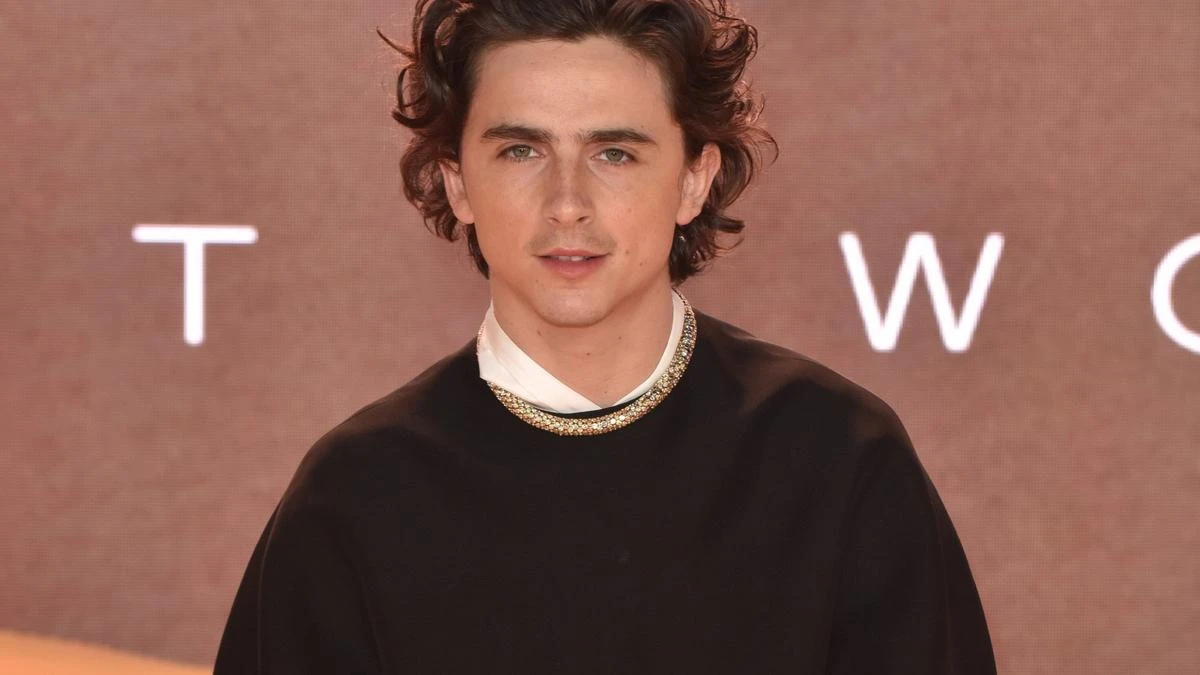 Timothee Chalamet joins Marty Supreme movie