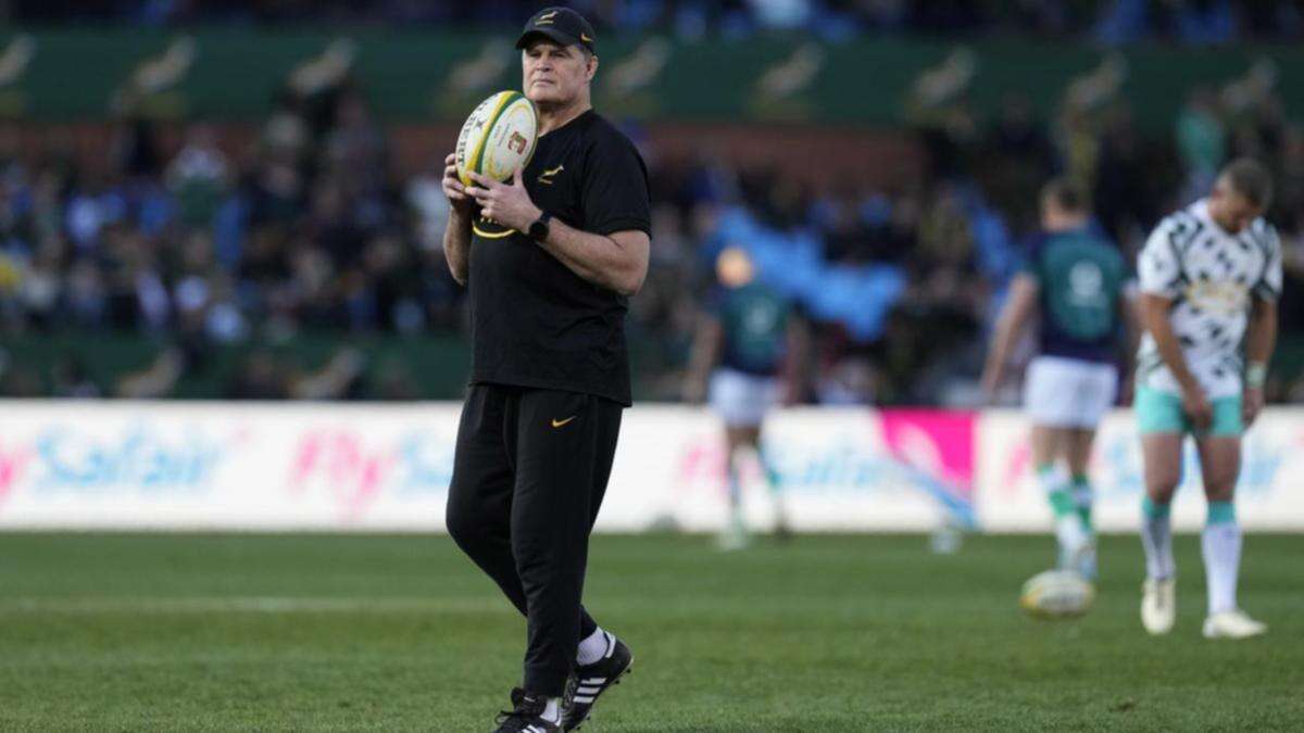 Springboks cast selection net wide for Portugal Test