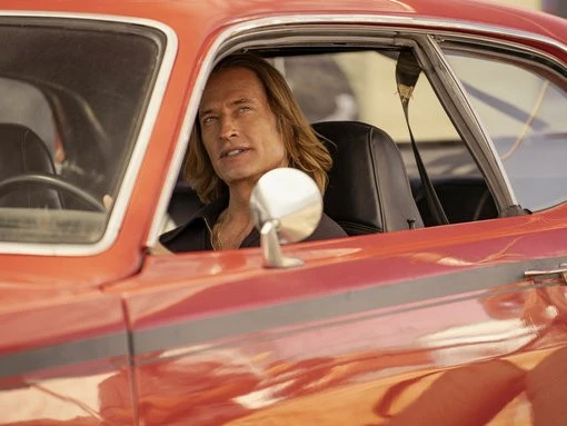 10 TV shows from this year that might have passed you by