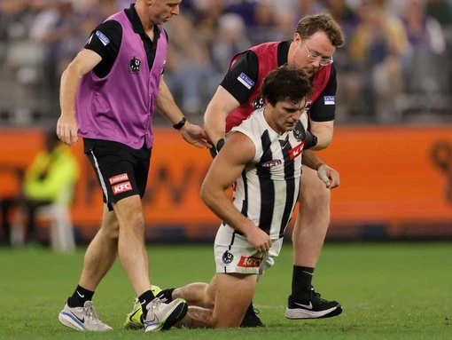 Cornes, Dillon apologise to umpires over Schultz saga