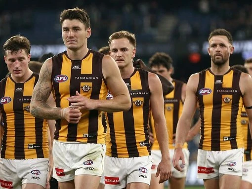 Mitchell pinpoints key to Hawks' revival in Dogs test