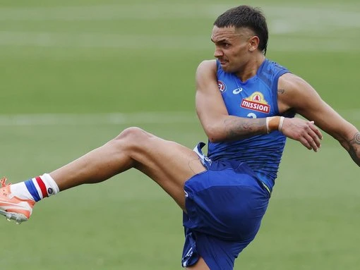 ‘Really soon’: Dogs on troubled star’s return