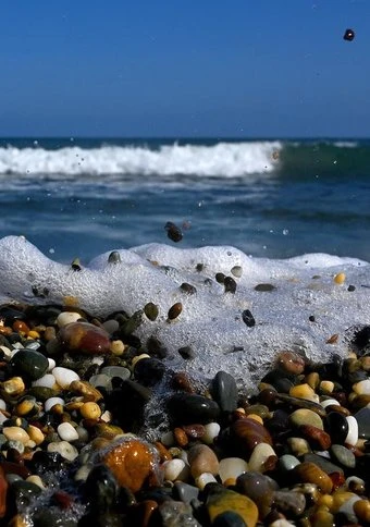 David Attenborough's Ocean a wake-up call from the sea