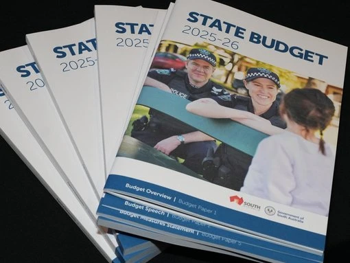 State’s $28m AI plan revealed
