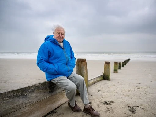 reviewAt 99, David Attenborough is still going strong