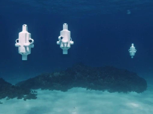 Underwater robot makes grim discovery off Fremantle coast