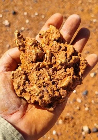 Two mates strike gold after finding $160k nugget in WA