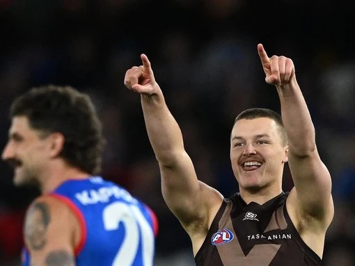 'Bro can't have fun' - Hawk unmoved after taunting Dogs