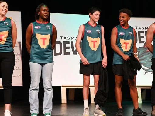 Devils fear for AFL future amid Tasmania politics fight