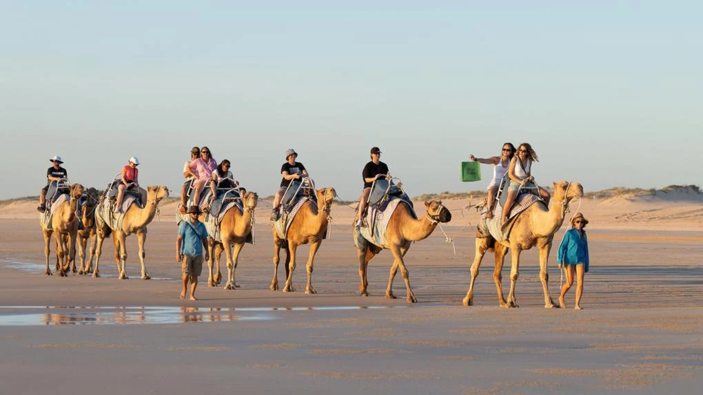 Croc crashes Easter, shuts down popular beach in WA’s north