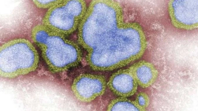 Chilling figure amid horror flu season