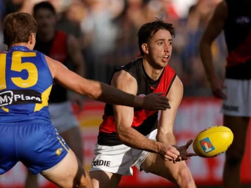 Bombers turn to 'coach' Goldstein after Draper injury