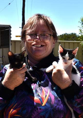 Animal-lover rescues more than 50 sick and abandoned cats