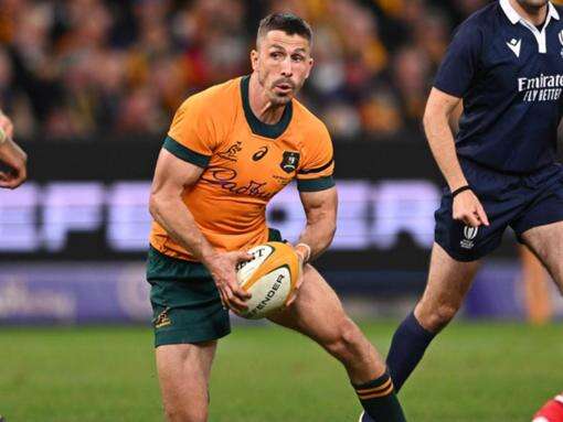 Wallabies star backs Schmidt for consultancy role