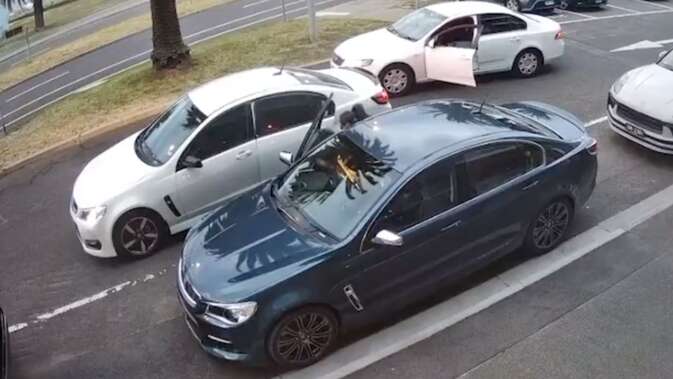 Hot Holden Commodore targeted by angle grinder-wielding thieves in broad daylight