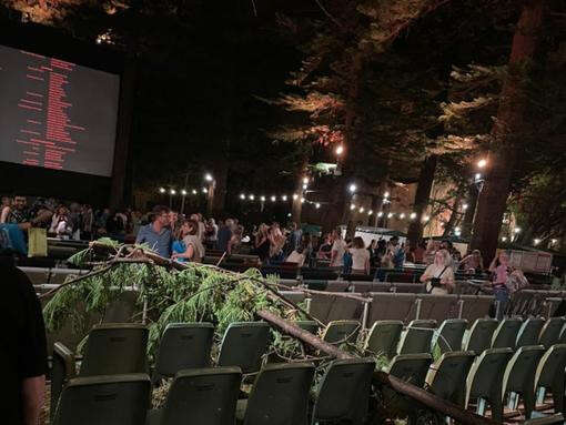 Popular outdoor cinema cancels films after scary incident