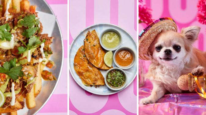 New taco and tequila pop-up to open in heart of Perth CBD